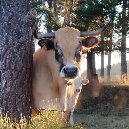La Grange De Germaine Nyaraló Saint-Denis